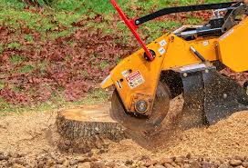 Best Lawn Pest Prevention  in Fort Sumner, NM