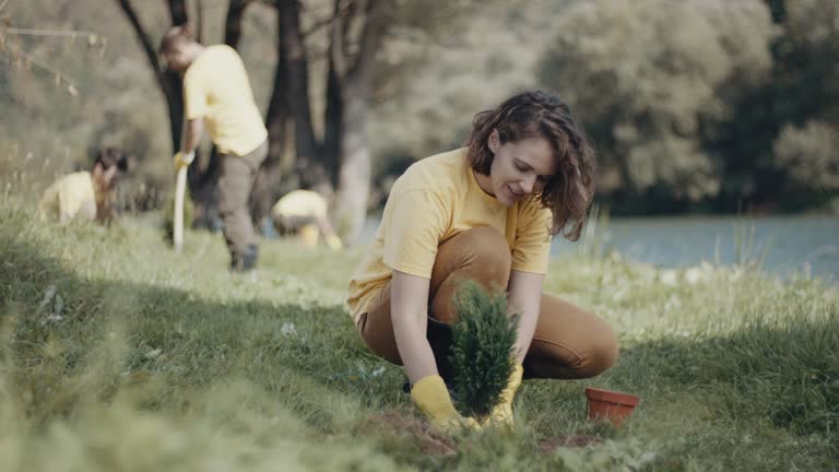 Best Lawn Renovation and Restoration  in Fort Sumner, NM