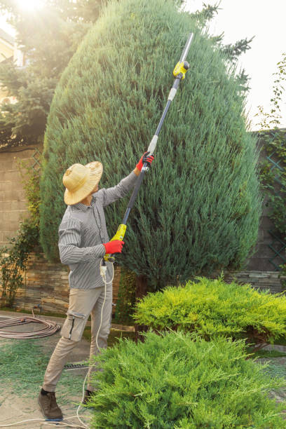 Landscape Design and Installation in Fort Sumner, NM
